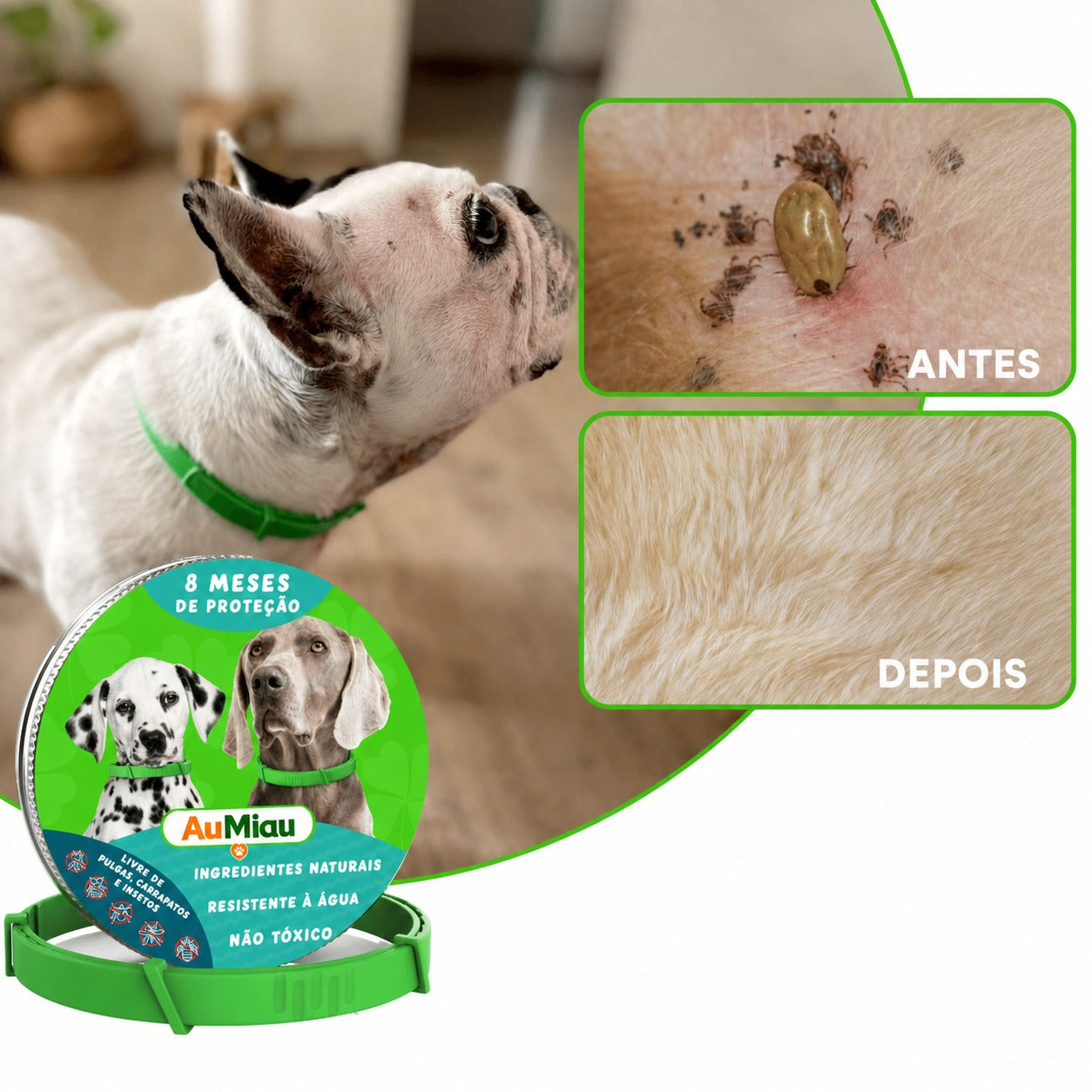 Proteção Aumiau para Cães - 8 meses