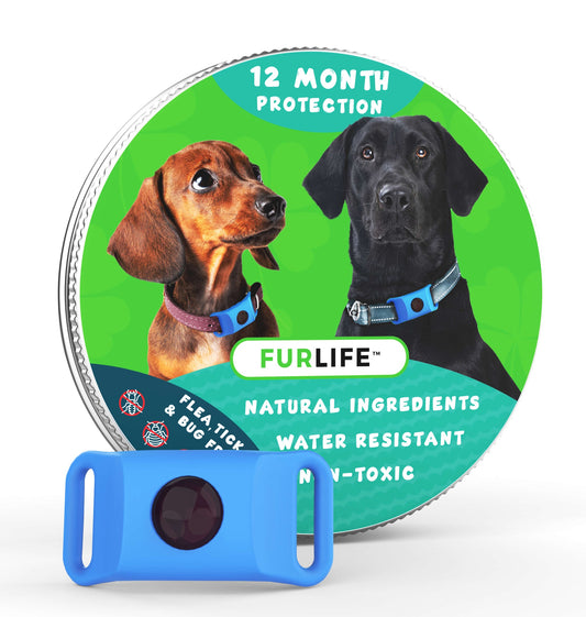 Proteção Aumiau para Cães - 12 Meses