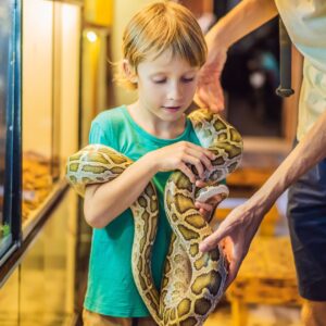 cobras como animais de estimação
