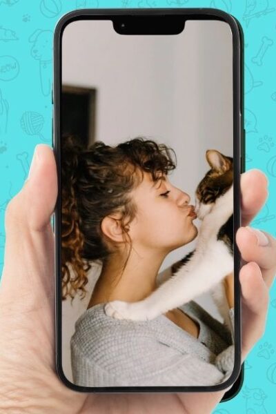 app para traduzir latido e miado