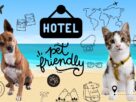 hoteis petfriendly